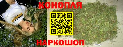 гашик Новозыбков