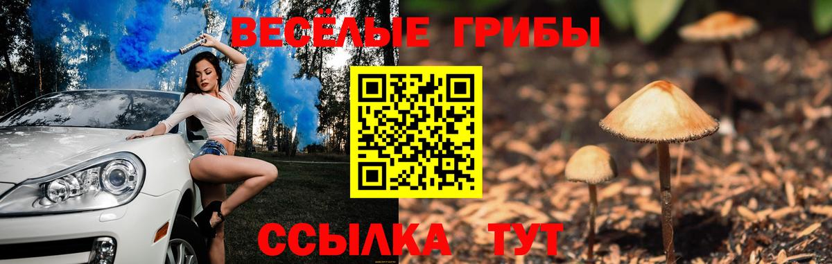 Галлюциногенные грибы MAGIC MUSHROOMS Черкесск